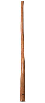 Tristan O'Meara Didgeridoo (TM329)